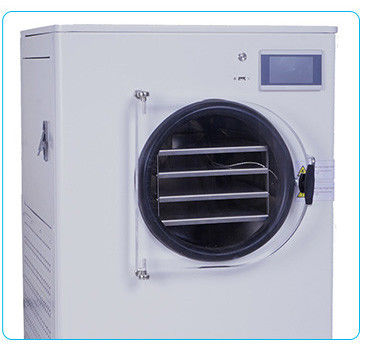 kopen 6kg 8kg 10kg 12kg 20kg per partij Middelgrote mini vriesdroger droogmachine met olievrije pomp online vervaardiging