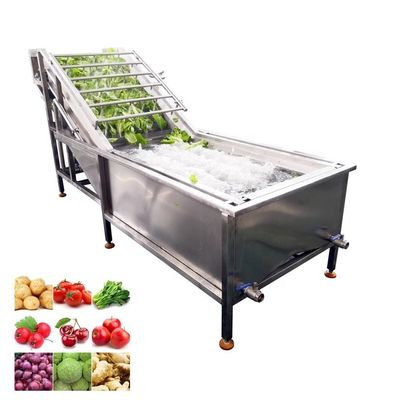 kopen Multifunktioneel gemberwassen Dubbele bubbelwater Spinazie Industrieel fruit wassen Ozon systeem online vervaardiging