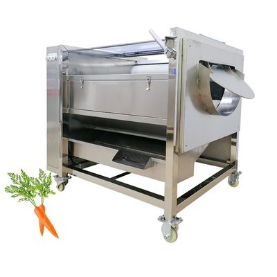 kopen Grootschalige productie van groenten- en fruitverwerkingsapparatuur met 220V-spanning online vervaardiging
