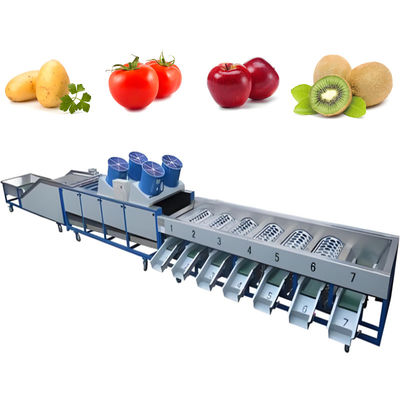 kopen Automatische productie Fruit and Vegetable Washer Machine Gemakkelijke werking online vervaardiging