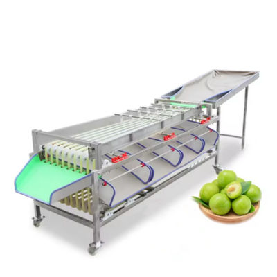 kopen Hotels profiteren van fruit gewicht selectie en automatische grootte rangschikker voor fruit groenten verwerking machine online vervaardiging