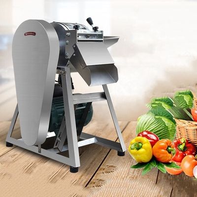 Industriële groenten- en fruitverdelingsmachine