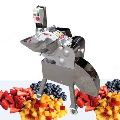 Tomatenpureeproductielijn/tomatenpureemachine