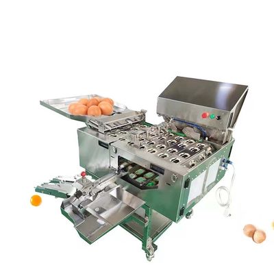 Verwerkingsapparatuur voor vloeibare eieren voor kleine pasteurisatie-machines voor het maken van eierenpoeder