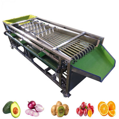 Automatische productie- en grootteklassificator voor groenten en fruit met wasfunctie