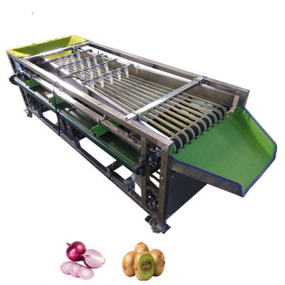 220V Automatische grootteklassificator voor groentenverwerkingsmachine